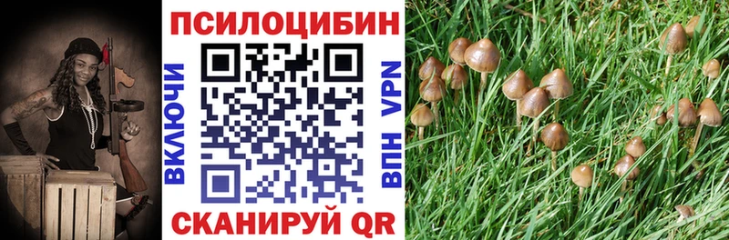 Галлюциногенные грибы Cubensis Тулун