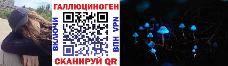 купить   Тулун  Галлюциногенные грибы мицелий 