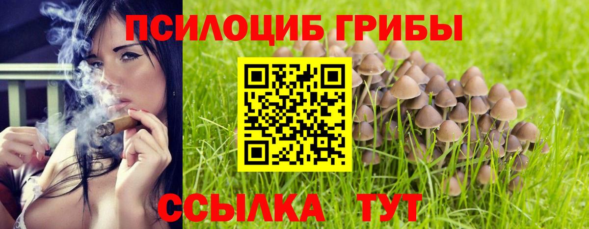 Галлюциногенные грибы мухоморы Тулун